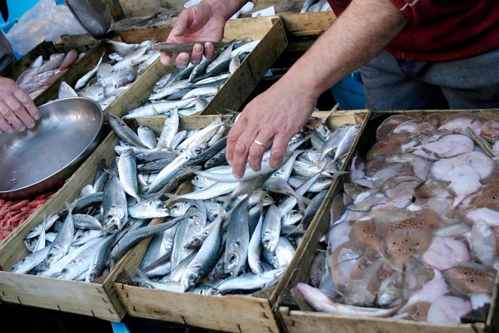 sardines at a market
