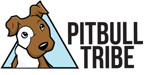 pitbulltribe logo1
