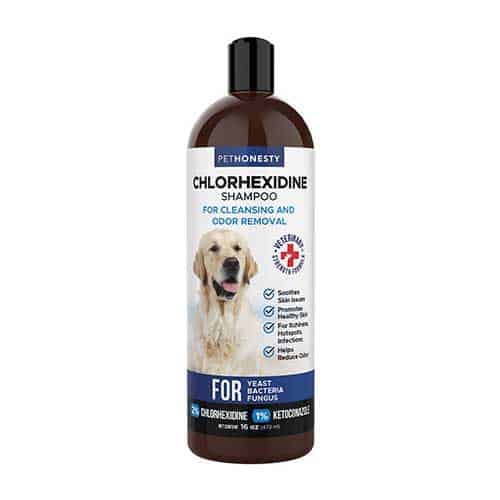 Chlorhexidine Antibacterial Cleansing & Odor Remover Dog Shampoo