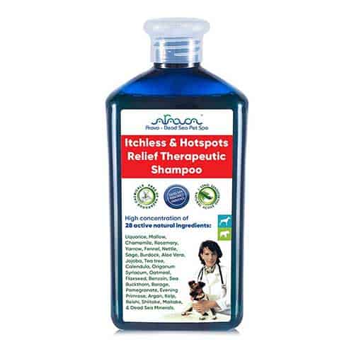 itchless therapeutic shampoo for dogs