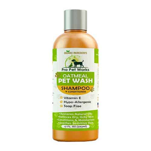oatmeal petwash shampoo